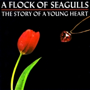 A Flock Of Seagulls The Story Of A Young Heart