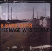B Bang Cider Teenage Wasteland