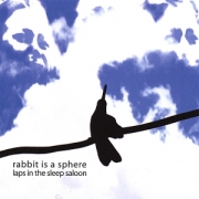 Rabbit Is a Sphere Laps in the Sleep Saloon