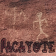 Pacayote