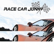 Race Car Junky